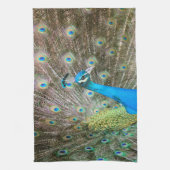 Peacock met Feathers Fanned - Wildlife Bird Foto Theedoek (Verticaal)