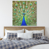 Peacock met haar veren, als deel van een canvas afdruk (Insitu (Slaapkamer))