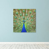 Peacock met haar veren, als deel van een canvas afdruk (Insitu (Houten vloer))