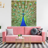 Peacock met haar veren, als deel van een canvas afdruk (Insitu (Woonkamer))
