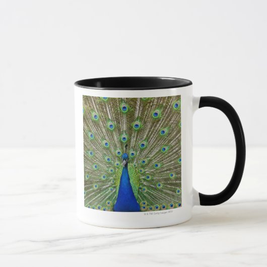 Peacock met haar veren, als deel van een mok (Rechts)