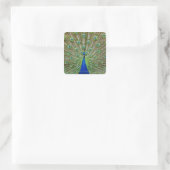 Peacock met haar veren, als deel van een vierkante sticker (Tas)