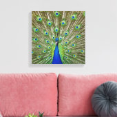 Peacock met haar veren canvas afdruk (Insitu (Woonkamer))