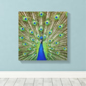 Peacock met haar veren canvas afdruk (Insitu (Houten vloer))