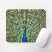 Peacock met haar veren muismat (Met muis)