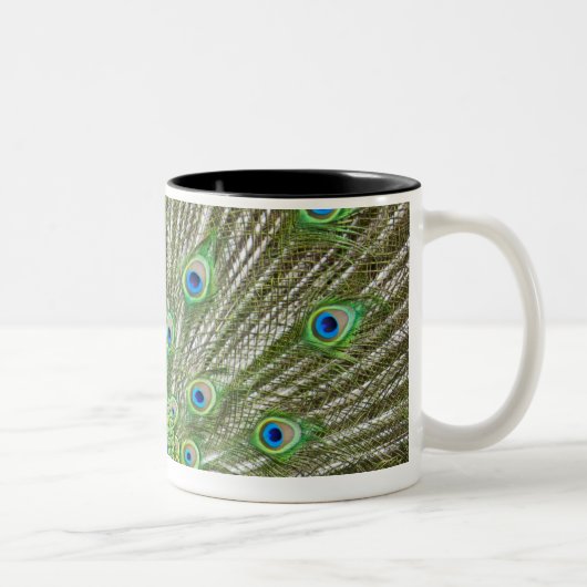 Peacock met haar veren tweekleurige koffiemok (Rechts)