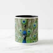 Peacock met haar veren tweekleurige koffiemok (Center)