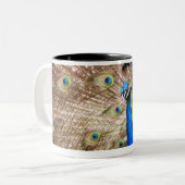 Peacock met plumage tweekleurige koffiemok (Voorkant links)