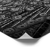 Peacock met staartspreiding poster (Hoek)