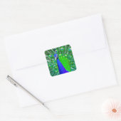 Peacock met ventilatorstaart vierkante sticker (Envelop)