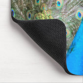 Peacock met veren uit - mannenvogel - Foto Muismat (Hoek)