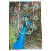 Peacock met veren uitgestoten - Wildlife Photo Medium Cadeauzakje (Achterkant)