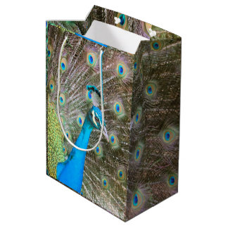 Peacock met veren uitgestoten - Wildlife Photo Medium Cadeauzakje