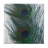 Peacock met wit tegeltje (Voorkant)