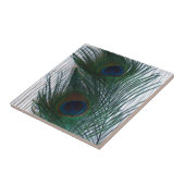 Peacock met wit tegeltje (Zijkant)