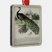 Peacock Metalen Ornament (Rechts)