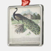 Peacock Metalen Ornament (Links)