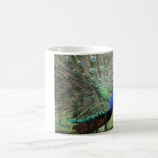 Peacock-mok Koffiemok (Center)