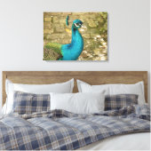 Peacock Mooie Natuur Fotografie Canvas Afdruk (Insitu (Slaapkamer))