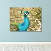 Peacock Mooie Natuur Fotografie Canvas Afdruk (Insitu (Houten vloer))