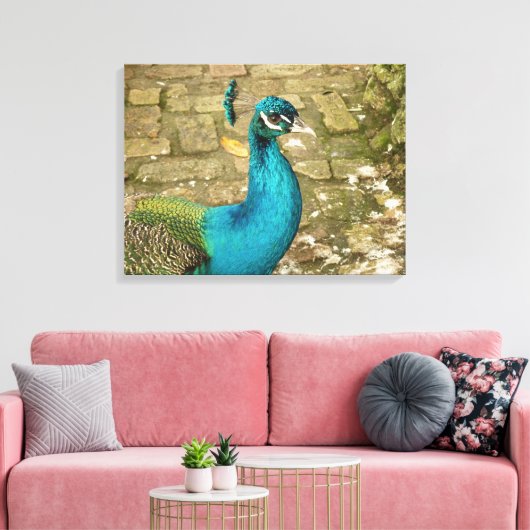 Peacock Mooie Natuur Fotografie Canvas Afdruk (Insitu (Woonkamer))