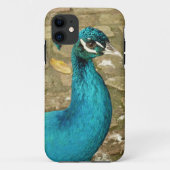 Peacock Mooie Natuur Fotografie Case-Mate iPhone Case (Achterkant)