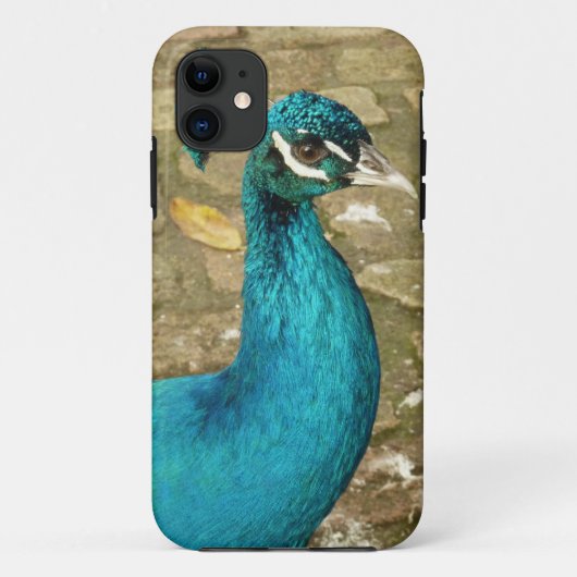 Peacock Mooie Natuur Fotografie Case-Mate iPhone Case (Achterkant)