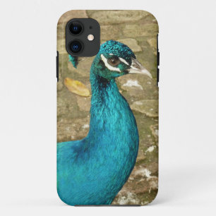 Peacock Mooie Natuur Fotografie Case-Mate iPhone Case