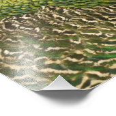 Peacock Mooie Natuur Fotografie Foto Afdruk (Hoek)