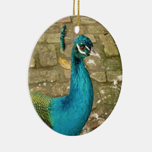 Peacock Mooie Natuur Fotografie Keramisch Ornament (Rechts)