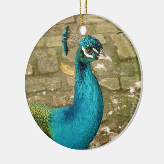 Peacock Mooie Natuur Fotografie Keramisch Ornament (Links)