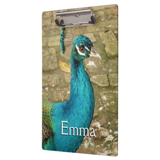 Peacock Mooie Natuur Fotografie Klembord (Links)