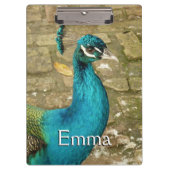 Peacock Mooie Natuur Fotografie Klembord (Voorkant)