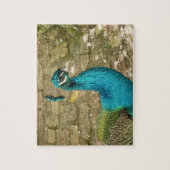 Peacock Mooie Natuur Fotografie Legpuzzel (Verticaal)