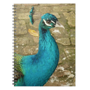 Peacock Mooie Natuur Fotografie Notitieboek