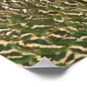 Peacock Mooie Natuur Fotografie Poster (Hoek)