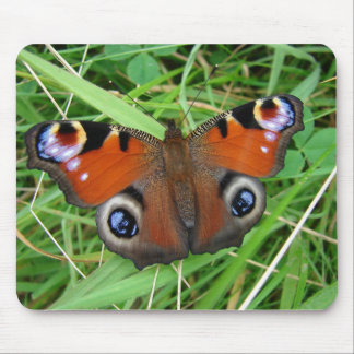 Peacock Mousepad Muismat