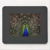 Peacock Mousepad Muismat (Voorkant)