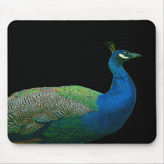 Peacock Mousepad Muismat