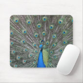 Peacock Mousepad Muismat (Met muis)