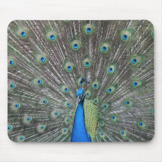 Peacock Mousepad Muismat (Voorkant)