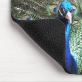 Peacock Mousepad Muismat (Hoek)