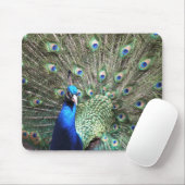 Peacock Mousepad Muismat (Met muis)