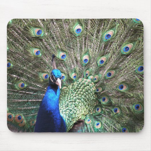Peacock Mousepad Muismat (Voorkant)