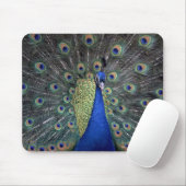 Peacock Muismat (Met muis)