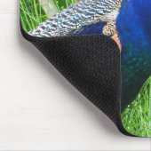 Peacock Muismat (Hoek)