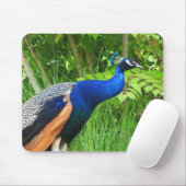 Peacock Muismat (Met muis)