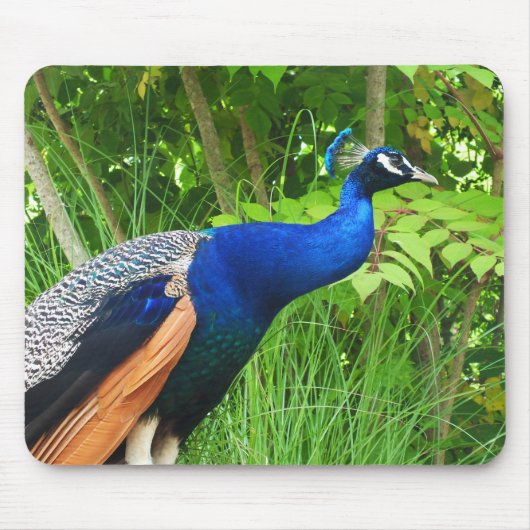 Peacock Muismat (Voorkant)
