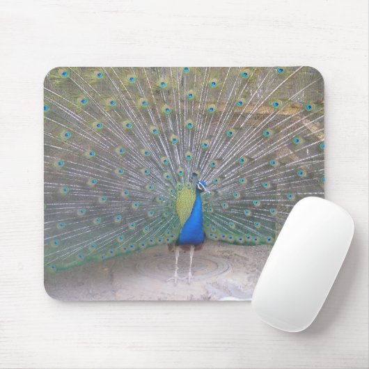 Peacock Muismat (Met muis)