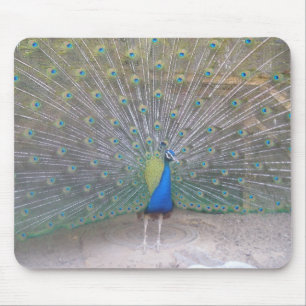 Peacock Muismat